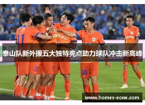 泰山队新外援五大独特亮点助力球队冲击新高峰