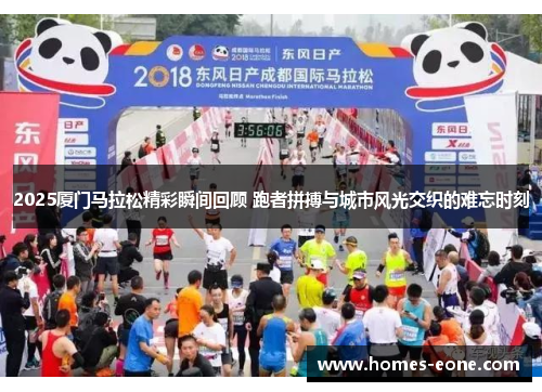 2025厦门马拉松精彩瞬间回顾 跑者拼搏与城市风光交织的难忘时刻