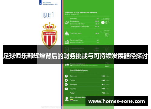 足球俱乐部辉煌背后的财务挑战与可持续发展路径探讨