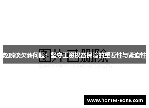 赵鹏谈欠薪问题：坚守工资权益保障的重要性与紧迫性