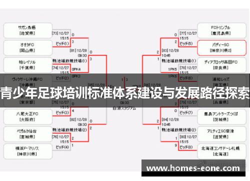 青少年足球培训标准体系建设与发展路径探索